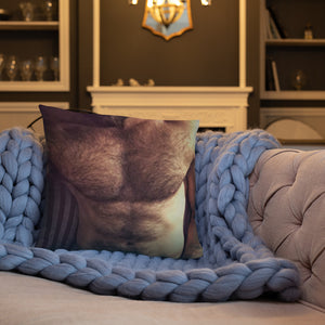 TheGayPillow